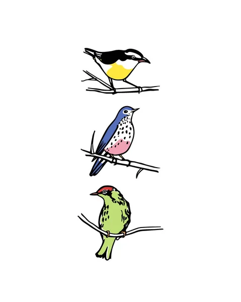 Uccelli disegnati a mano — Vettoriale Stock