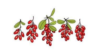 Elle çizilmiş kızamık