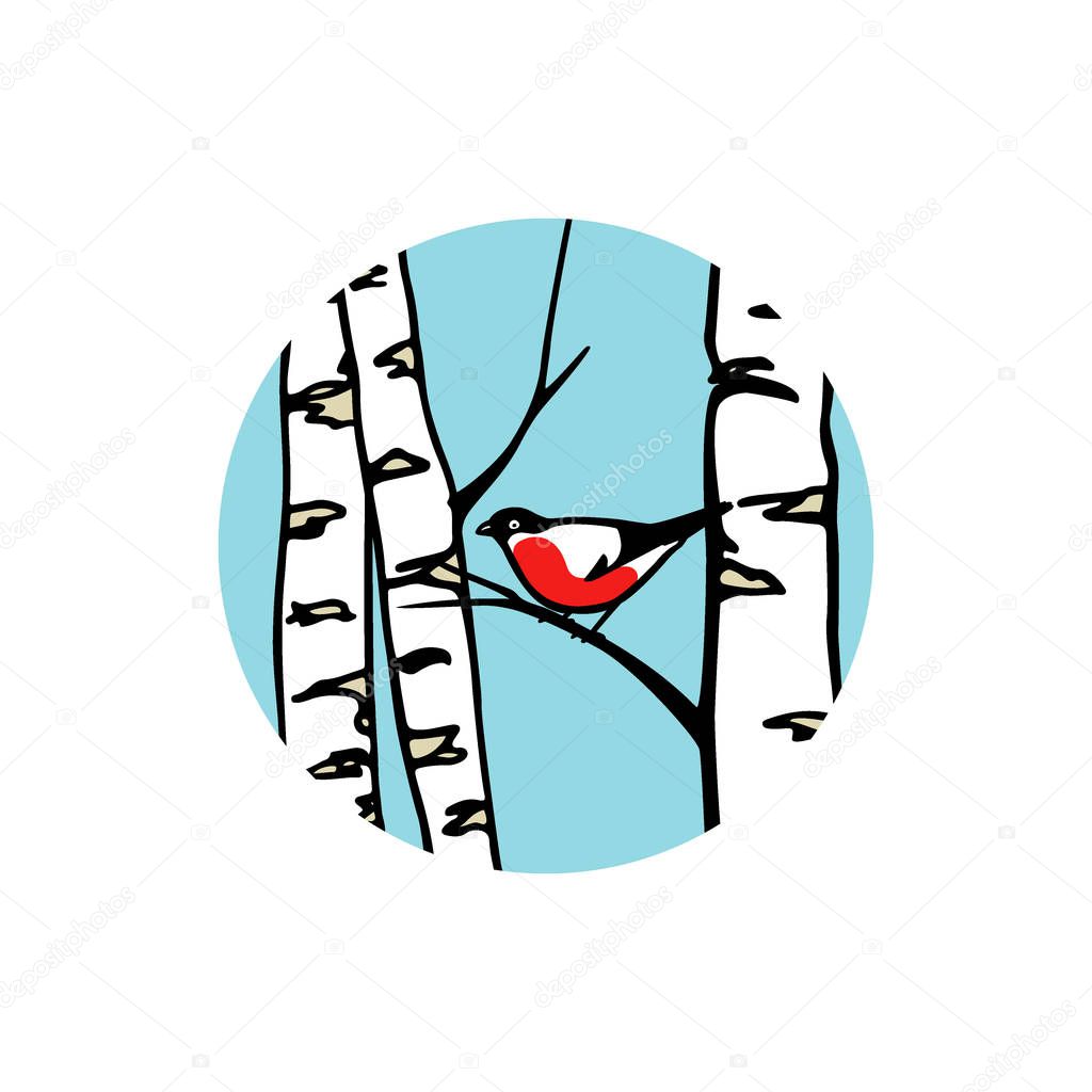 Vector illustration of hand drawn bullfinch sitting on a birch branch. Ink drawing, graphic style. Beautiful design elements.