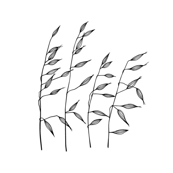 Herbe de prairie dessinée à la main — Image vectorielle