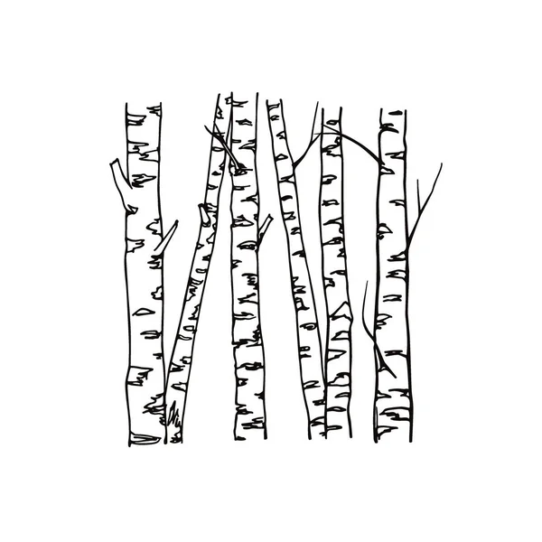 Tronchi di betulla disegnati a mano — Vettoriale Stock