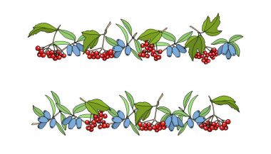 El çilek sınırları çizilmiş