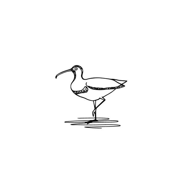 Oiseau de rivage dessiné main — Image vectorielle