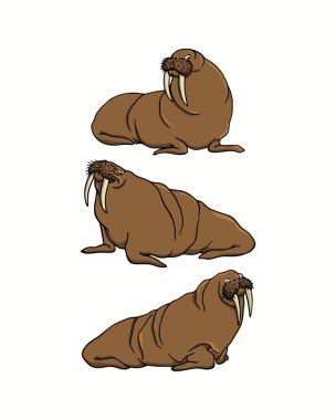 Elle çizilmiş walruses