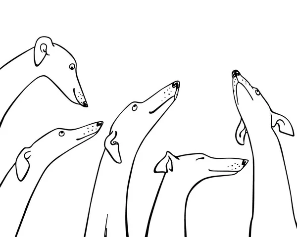 Galgos dibujados a mano — Vector de stock