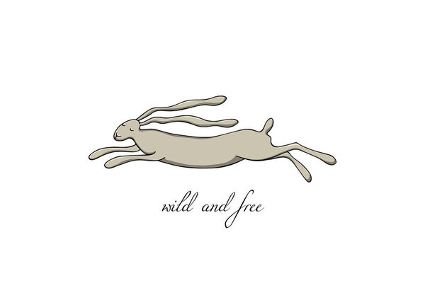 Векторный заяц
