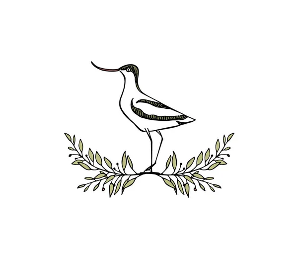 Ręcznie rysowane shorebird — Wektor stockowy