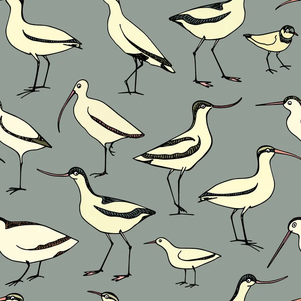 Ручной рисунок береговой птицы — стоковый вектор