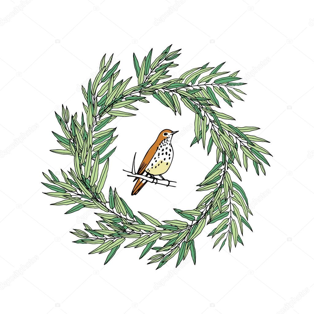 Hand drawn eucalyptus wreath with a bird made in vectorr. Beautiful floral design elements, ink drawing, logo template