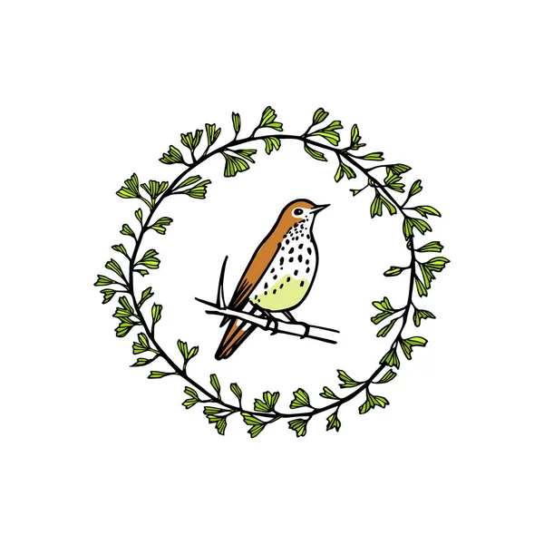 Emblema de pássaro desenhado à mão —  Vetores de Stock
