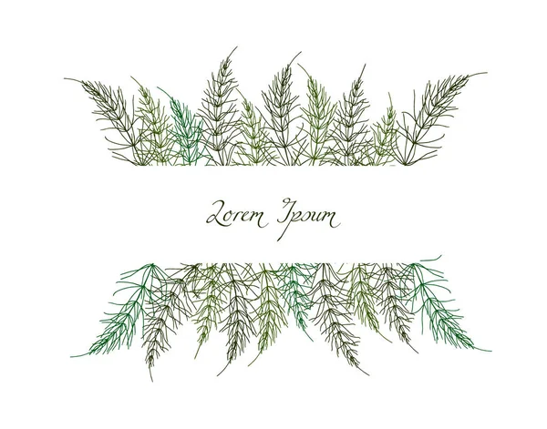 Hand drawn horsetail card — Stock Illustration Hand drawn horsetail card Royalty Free Stock Illustrations