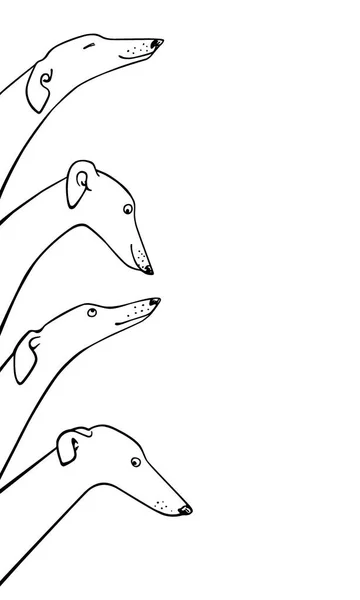 Cães-cinzentos desenhados à mão — Vetor de Stock