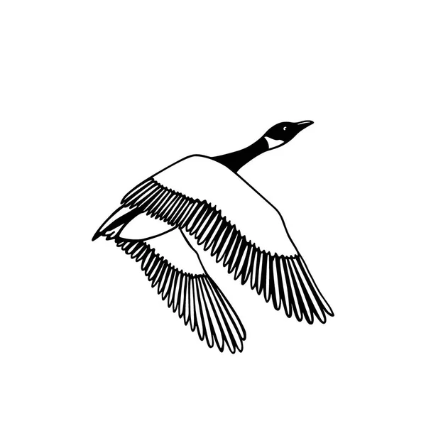 Hand drawn wild goose — Stock Vector