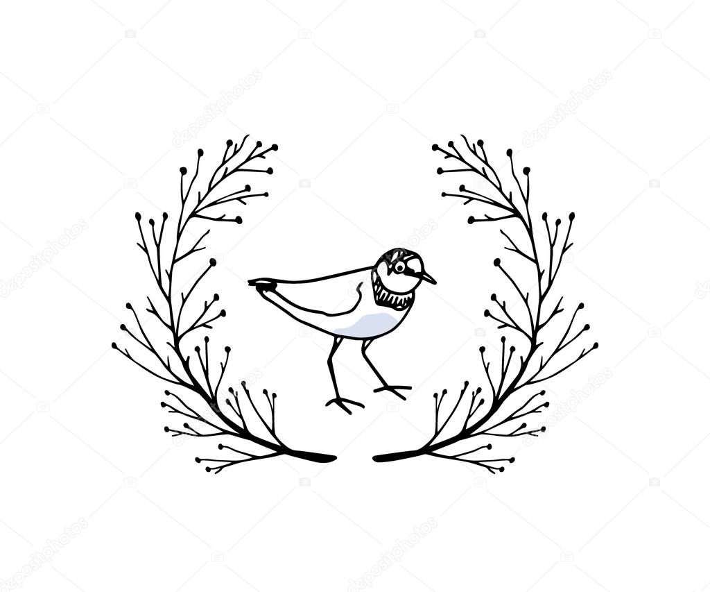 Vector illustration of hand drawn cute shorebird in floral laurel. Beautiful animal design elements, ink drawing, logo template