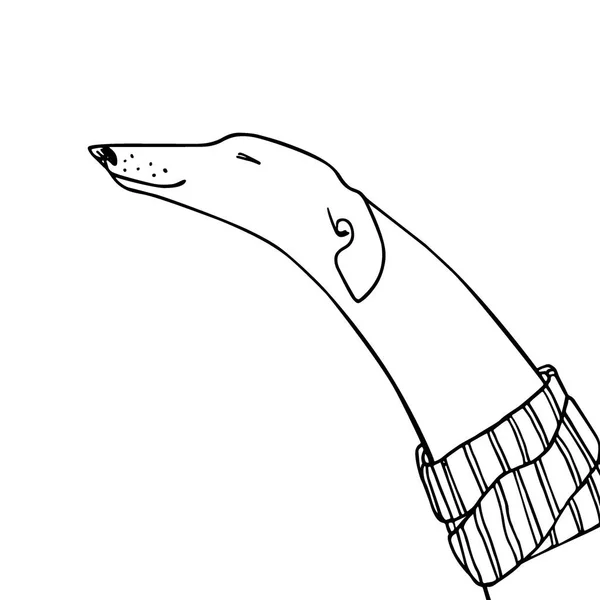 Galgo dibujado a mano — Vector de stock