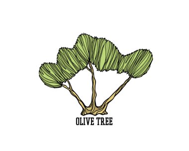 elle çizilmiş zeytin ağacı