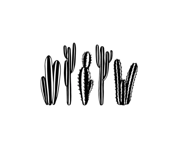 Cactus dibujado a mano — Vector de stock