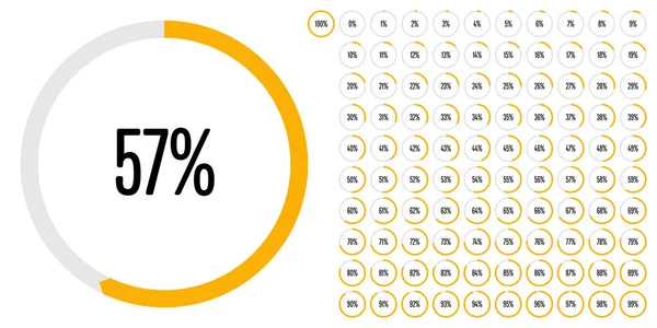 Serie di diagrammi percentuali circolari da 0 a 100 — Vettoriale Stock