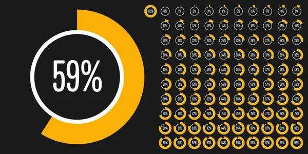 Serie di diagrammi percentuali circolari da 0 a 100 — Vettoriale Stock