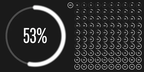 Conjunto Diagramas Porcentuales Círculo 100 Listos Para Usar Para Diseño — Archivo Imágenes Vectoriales