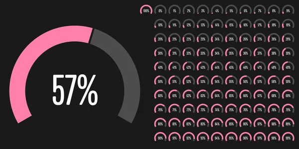 Conjunto Diagramas Percentuais Setor Circular 100 Prontos Usar Para Web —  Vetores de Stock