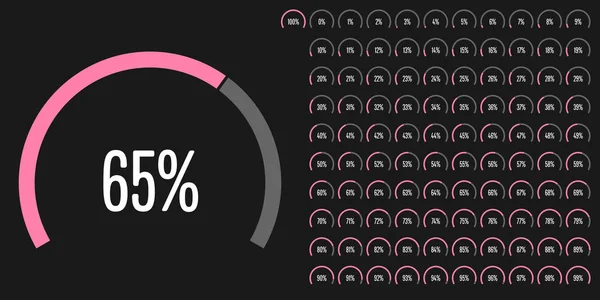 Conjunto Diagramas Percentuais Setor Circular 100 Prontos Usar Para Web — Vetor de Stock