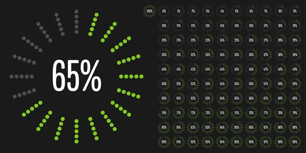 Набор Круговых Процентных Диаграмм 100 Готовых Использованию Веб Дизайна Пользовательского — стоковый вектор