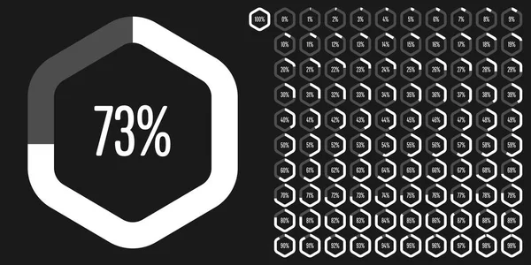 Set Hexagon Percentage Diagrams 100 Ready Use Web Design User — Stock Vector