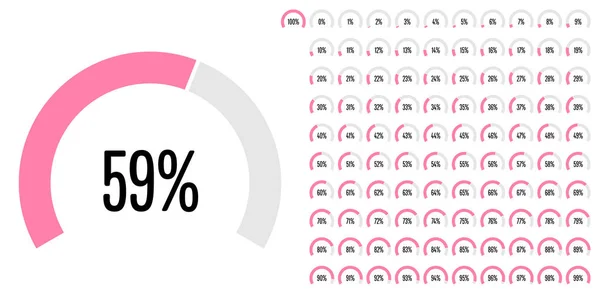 Conjunto Diagramas Percentuais Setor Circular 100 Prontos Usar Para Web —  Vetores de Stock