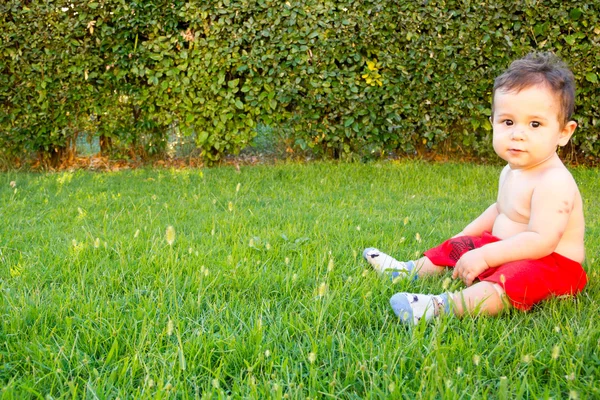 New born with multiple mosquito bites. Allergy to insect bites — Stock Photo, Image