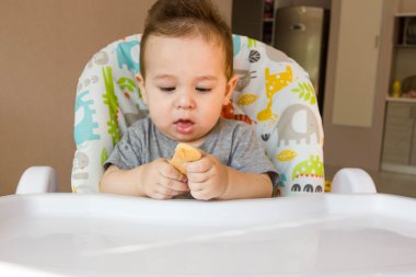 Çocuk bisküvi yemek ilk yiyecek bebekler için 10 ay portre sevimli bebek. yürümeye başlayan çocuk diş katı gıda ile yaşamayı öğrenme