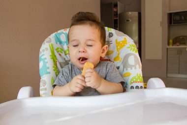 Çocuk bisküvi yemek ilk yiyecek bebekler için 10 ay portre sevimli bebek. yürümeye başlayan çocuk diş katı gıda ile yaşamayı öğrenme