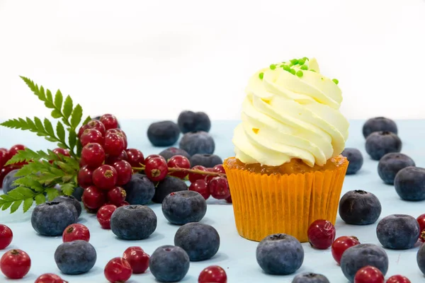 Blueberry cupcakes egy fehér háttér. házi desszert egy születésnapi ünneplés felkészülni — Stock Fotó