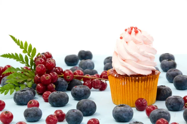 Cupcake ai mirtilli su sfondo bianco. dessert fatto in casa per un compleanno, preparare per la celebrazione — Foto Stock