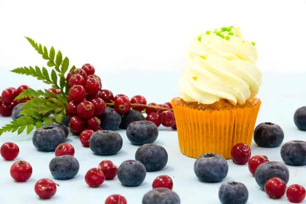 Cupcake ai mirtilli su sfondo bianco. dessert fatto in casa per un compleanno, preparare per la celebrazione — Foto Stock