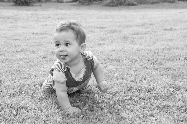 Bonito expressivo adorável feliz bonito rindo sorrindo bebê bebê rosto mostrando língua — Fotografia de Stock