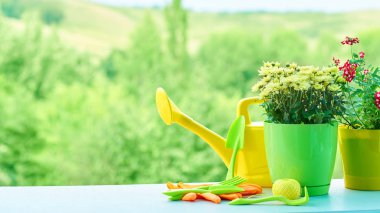 Bahçe aletleri, çeşitli çiçekler ve bitkiler saksı içinde çiçek dikim.