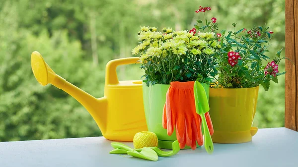 Sonniges Stillleben mit verschiedenen Gartenutensilien, Gießkannen und frischen Schnittblumen — Stockfoto