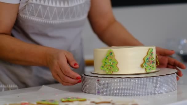 Mujer pastelera preparando pastel para Navidad — Vídeos de Stock