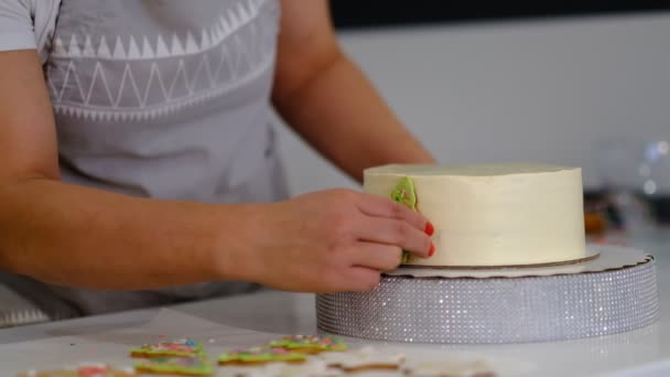 Confeiteiro mulher preparando bolo para o Natal — Vídeo de Stock