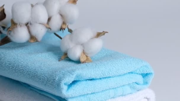 Asciugamani puliti bianchi e blu e un ramo di cotone su sfondo bianco. Primo piano rallentatore . — Video Stock
