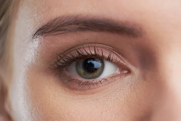 Eye brown macro shot. Close-up portrait of a beautiful female eye — 스톡 사진