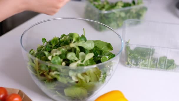 Il cuoco versa gli spinaci tritati dal tagliere di legno alla ciotola di vetro, facendo l'insalata di verdure, cucinando con verdure, vitamina e cibo sano, pasti vegetariani. Video del rallentatore. Da vicino. — Video Stock