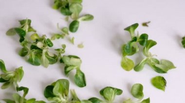 Yemek arkaplanı: Mısır salatası, kuzu marulu. Slow Motion videosu. Kapat.