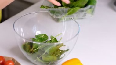 Aşçı odun kesme tahtasından cam kaseye ıspanak döker, sebze salatası yapar, sebze, vitamin ve sağlıklı yiyeceklerle yemek pişirir, vejetaryen yemekler yapar. Slow Motion videosu. Kapat.