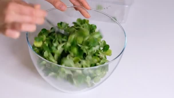 Fundo alimentar: folhas de alface de cordeiro de salada de milho. Vídeo em câmara lenta. Fechar — Vídeo de Stock