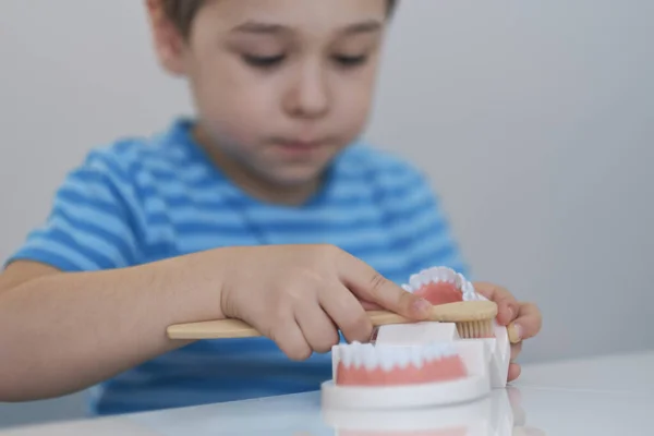 Närbild modell av en mänsklig käke med vita tänder. liten pojke lär sig att borsta tänderna med käken layout. — Stockfoto