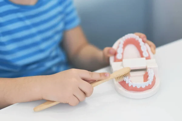 Modelo de close-up de um maxilar humano com dentes brancos. menino aprende a escovar os dentes com layout da mandíbula dentária . — Fotografia de Stock