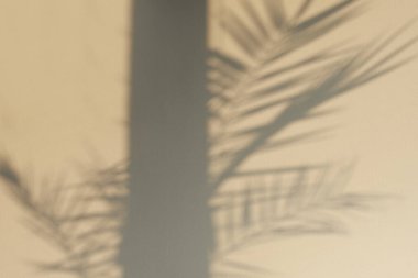 Yapraklı Gri Beton Duvar. Gölge desenli. Sıvanın dokusu....