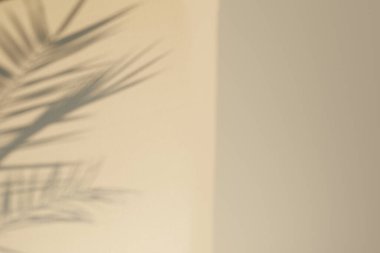 Yapraklı Gri Beton Duvar. Gölge desenli. Sıvanın dokusu....